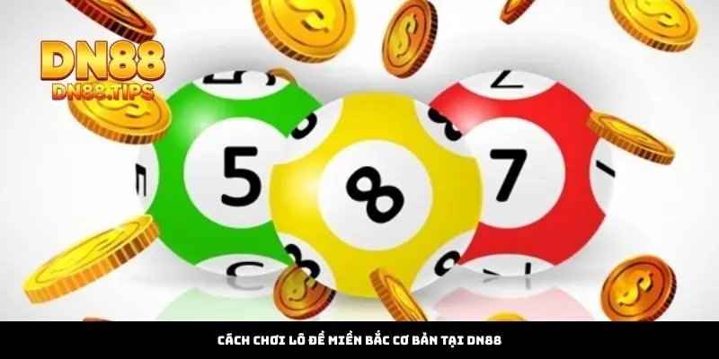 Cách Chơi Lô Đề Miền Bắc Cơ Bản Tại DN88