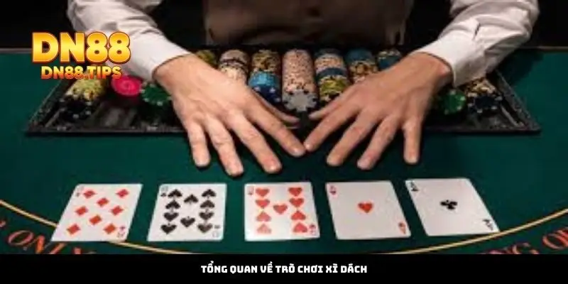 Tổng Quan Về Trò Chơi Xì Dách